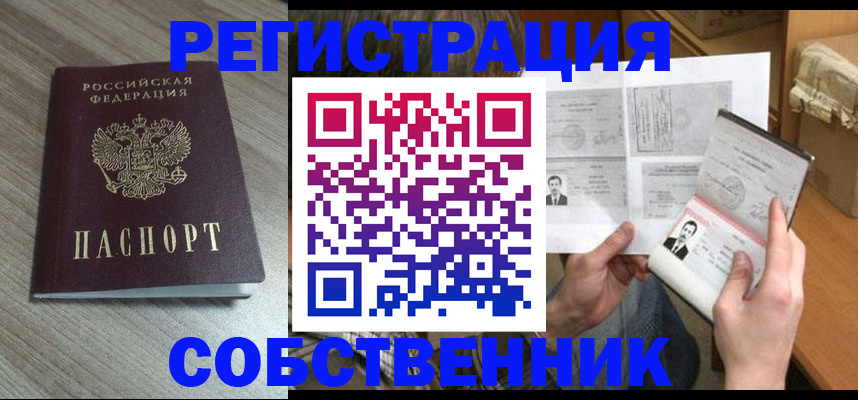 прописка 2025 в Сольцах